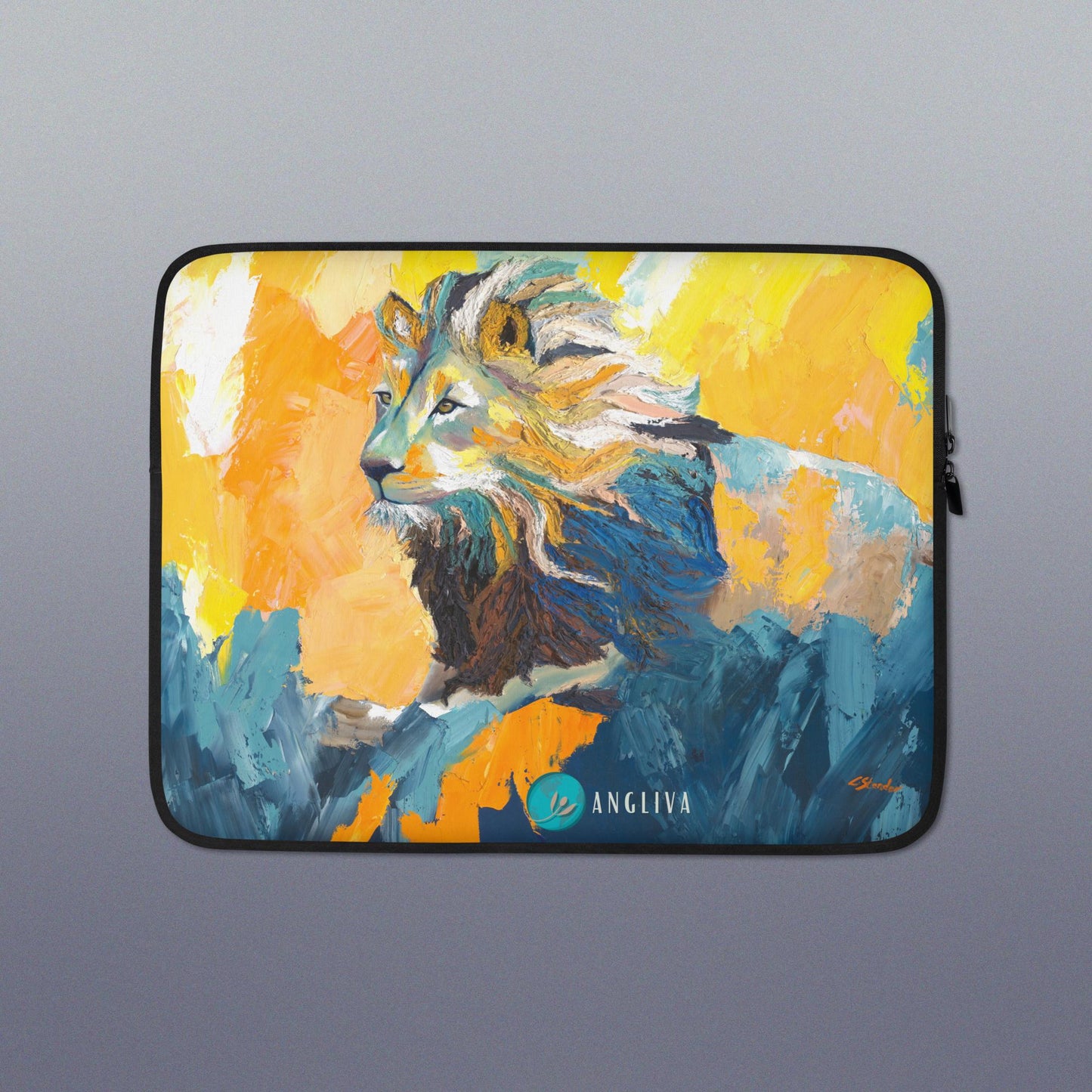 Laptop Sleeve